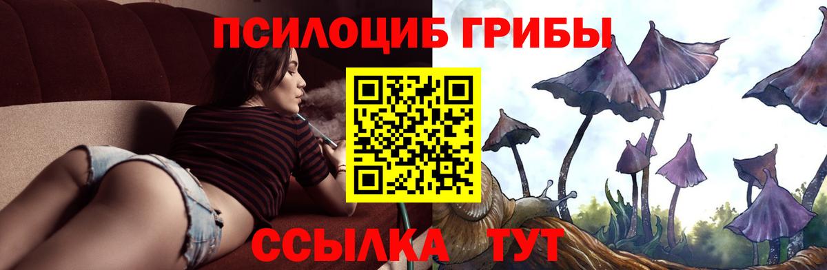 Псилоцибиновые грибы Magic Shrooms  Вход с VPN  Воронеж 